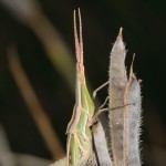 img_8537