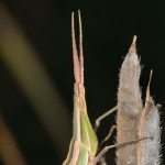 img_8539