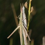 img_8541