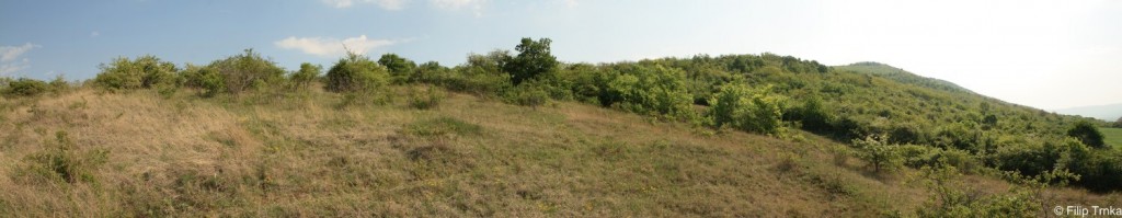 hungary8